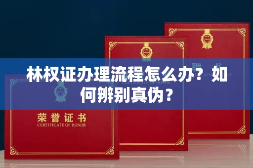 郑州林权证办理流程怎么办?如何辨别真伪?
