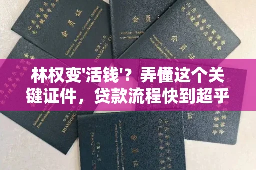 郑州林权变'活钱'？弄懂这个关键证件，贷款流程快到超乎想象！