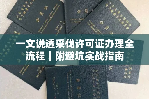 郑州一文说透采伐许可证办理全流程|附避坑实战指南